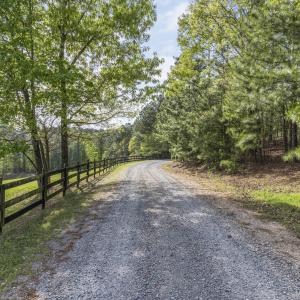 Photo #58 of 3100 Buckhorn, Sanford, NC 759.3 acres