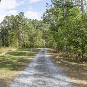 Photo #57 of 3100 Buckhorn, Sanford, NC 759.3 acres