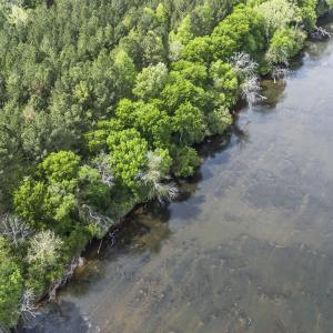Photo #5 of 3100 Buckhorn, Sanford, NC 759.3 acres