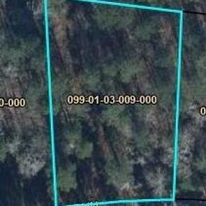 Photo #1 of N-009 Captain Johnson, North Augusta, SC 0.6 acres