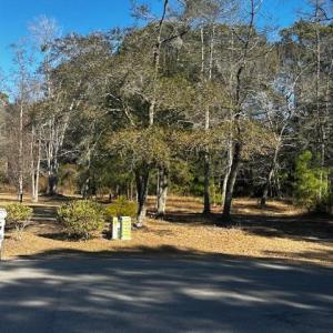 Photo #1 of 141 Eagle, Supply, NC 0.4 acres