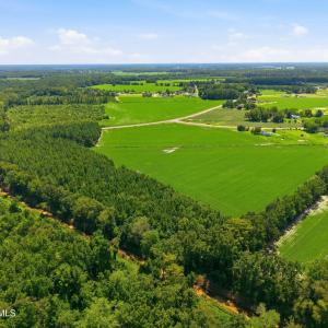 Photo #8 of 1175 Laurie Ellis, Winterville, NC 41.2 acres