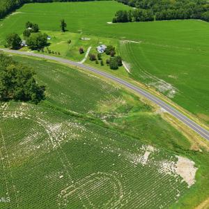 Photo #4 of 1175 Laurie Ellis, Winterville, NC 41.2 acres