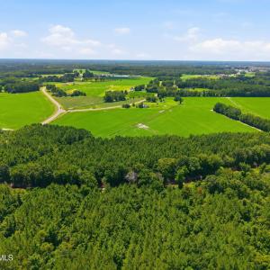 Photo #7 of 1175 Laurie Ellis, Winterville, NC 41.2 acres