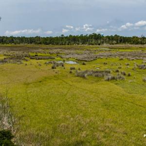 DJI_20260728112814_0656_D