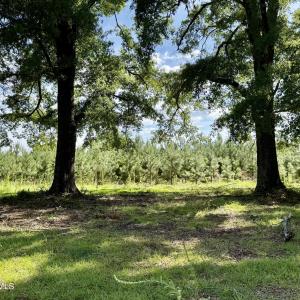 Photo #14 of Tbd Roberdel School, Rockingham, NC 129.8 acres