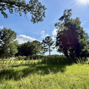 Photo #13 of Tbd Roberdel School, Rockingham, NC 129.8 acres