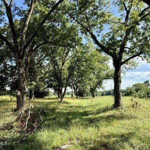 Photo #4 of Tbd Roberdel School, Rockingham, NC 129.8 acres