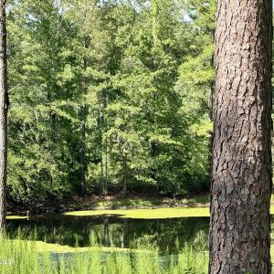 Photo #5 of Tbd Roberdel School, Rockingham, NC 129.8 acres