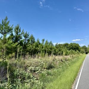 Photo #17 of Tbd Roberdel School, Rockingham, NC 129.8 acres