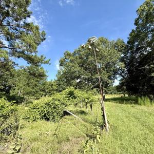 Photo #11 of Tbd Roberdel School, Rockingham, NC 129.8 acres