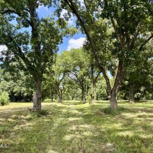 Photo #1 of Tbd Roberdel School, Rockingham, NC 129.8 acres