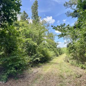 Photo #9 of Tbd Roberdel School, Rockingham, NC 129.8 acres