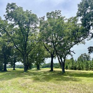 Photo #15 of Tbd Roberdel School, Rockingham, NC 129.8 acres