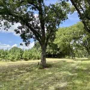 Photo #8 of Tbd Roberdel School, Rockingham, NC 129.8 acres