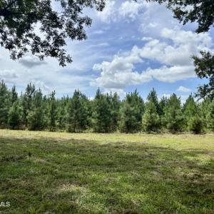 Photo #18 of Tbd Roberdel School, Rockingham, NC 129.8 acres