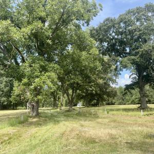 Photo #7 of Tbd Roberdel School, Rockingham, NC 129.8 acres