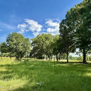 Photo #12 of Tbd Roberdel School, Rockingham, NC 59.0 acres