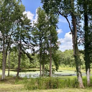 Photo #5 of Tbd Roberdel School, Rockingham, NC 59.0 acres