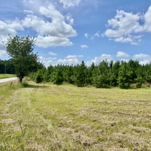 Photo #2 of Tbd Roberdel School, Rockingham, NC 70.0 acres