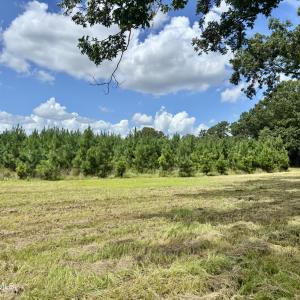 Photo #4 of Tbd Roberdel School, Rockingham, NC 70.0 acres