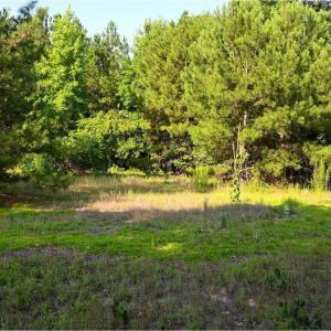 Photo #8 of 84 Jo62, Rockingham, NC 2.3 acres