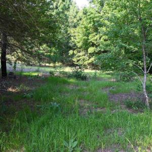 Photo #6 of 84 Jo62, Rockingham, NC 2.3 acres