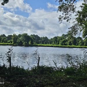 Photo #3 of Wl33 E Waterway Drive (Wl33), Belhaven, NC 5.5 acres