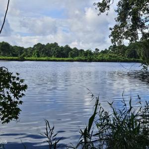 Photo #2 of Wl33 E Waterway Drive (Wl33), Belhaven, NC 5.5 acres