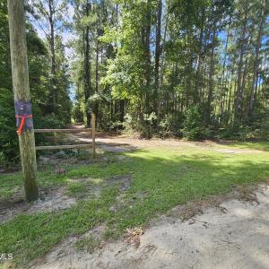 Photo #14 of Wl33 E Waterway Drive (Wl33), Belhaven, NC 5.5 acres