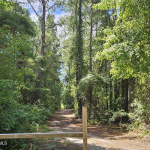 Photo #15 of Wl33 E Waterway Drive (Wl33), Belhaven, NC 5.5 acres