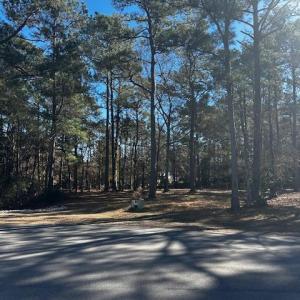Photo #2 of 137 Eagle, Supply, NC 0.4 acres