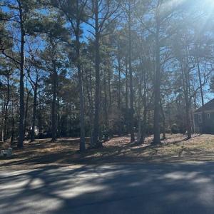 Photo #3 of 137 Eagle, Supply, NC 0.4 acres
