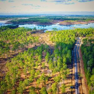 Photo #2 of 203 Paradox Point, Aurora, NC 7.6 acres
