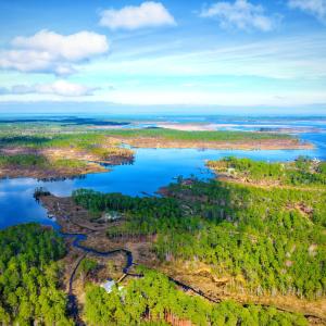 Photo #13 of 203 Paradox Point, Aurora, NC 7.6 acres