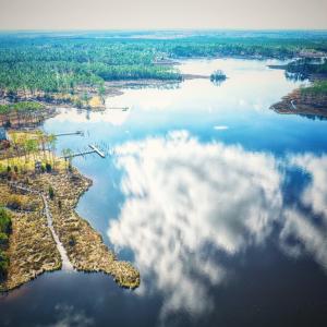 Photo #8 of 203 Paradox Point, Aurora, NC 7.6 acres