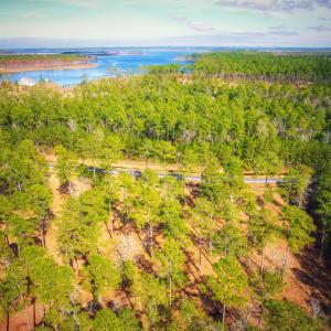 Photo #5 of 203 Paradox Point, Aurora, NC 7.6 acres