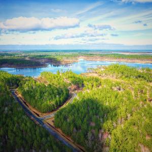 Photo #6 of 203 Paradox Point, Aurora, NC 7.6 acres