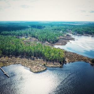 Photo #11 of 203 Paradox Point, Aurora, NC 7.6 acres