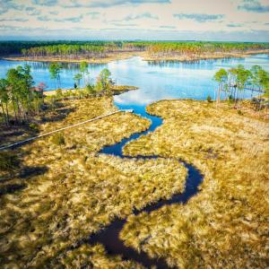 Photo #12 of 203 Paradox Point, Aurora, NC 7.6 acres