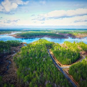 Photo #7 of 203 Paradox Point, Aurora, NC 7.6 acres