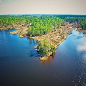 Photo #9 of 203 Paradox Point, Aurora, NC 7.6 acres