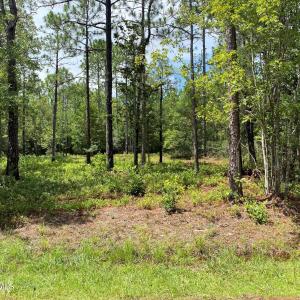 Photo #1 of 361 Ash, Boiling Spring Lakes, NC 0.5 acres