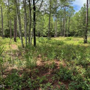 Photo #2 of 361 Ash, Boiling Spring Lakes, NC 0.5 acres