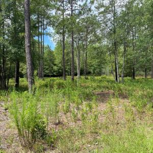 Photo #3 of 361 Ash, Boiling Spring Lakes, NC 0.5 acres