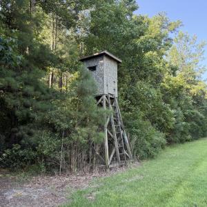 Photo #67 of 5200 Kershaw, Oriental, NC 122.8 acres
