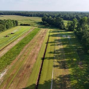 Photo #36 of 5200 Kershaw, Oriental, NC 122.8 acres