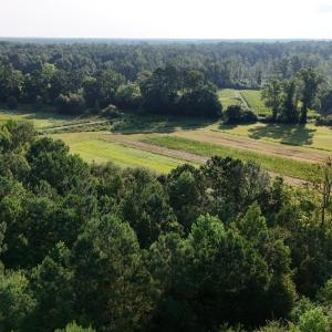 Photo #26 of 5200 Kershaw, Oriental, NC 122.8 acres