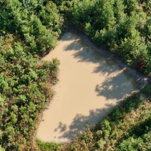 Photo #55 of 5200 Kershaw, Oriental, NC 122.8 acres