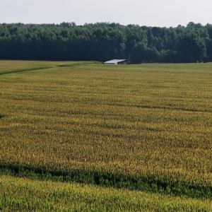 Photo #34 of 5200 Kershaw, Oriental, NC 122.8 acres